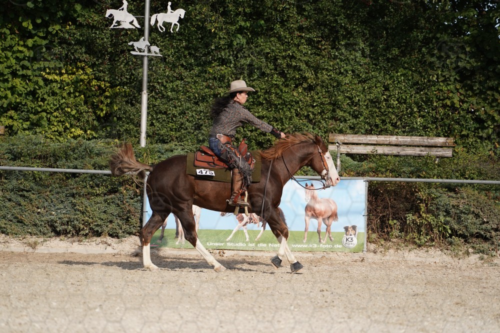 s_A_908405.JPG